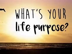 Life's purpose